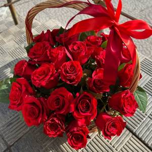 25 крупных красных роз в корзине R557